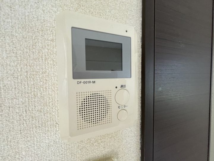 レオネクスト楓のその他画像