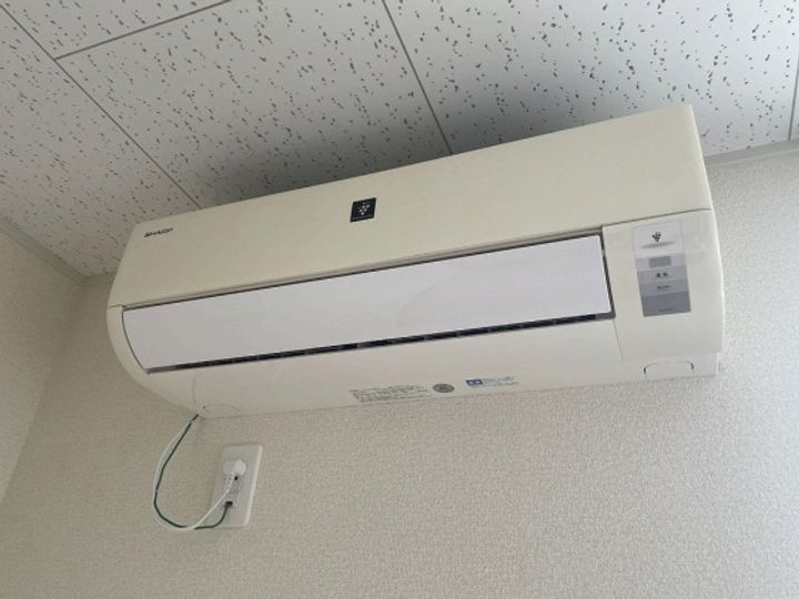 レオネクスト楓のその他画像