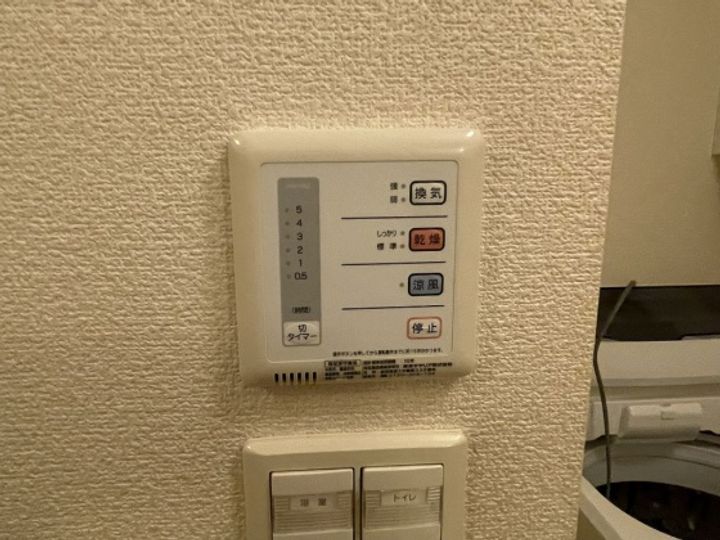 レオネクストサマアのその他画像