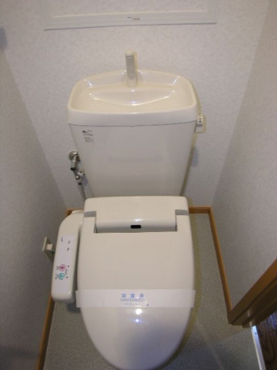ガイアのその他画像