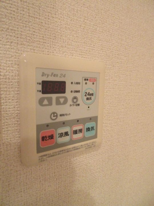 ガイアのその他画像