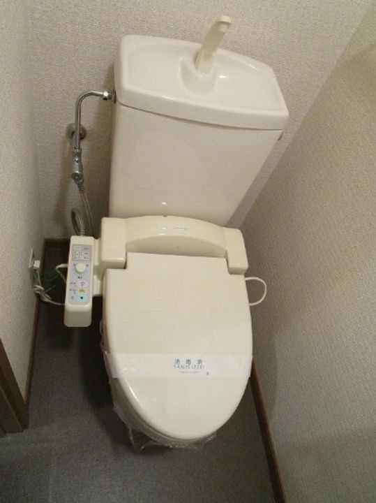オーブリーヒキノAのその他画像