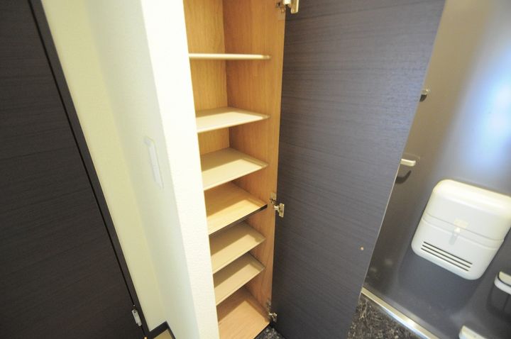 レオネクストカサデエスペランサ210の玄関