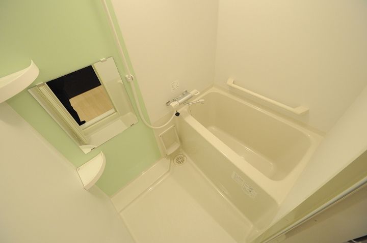 レオネクストカサデエスペランサ210の風呂