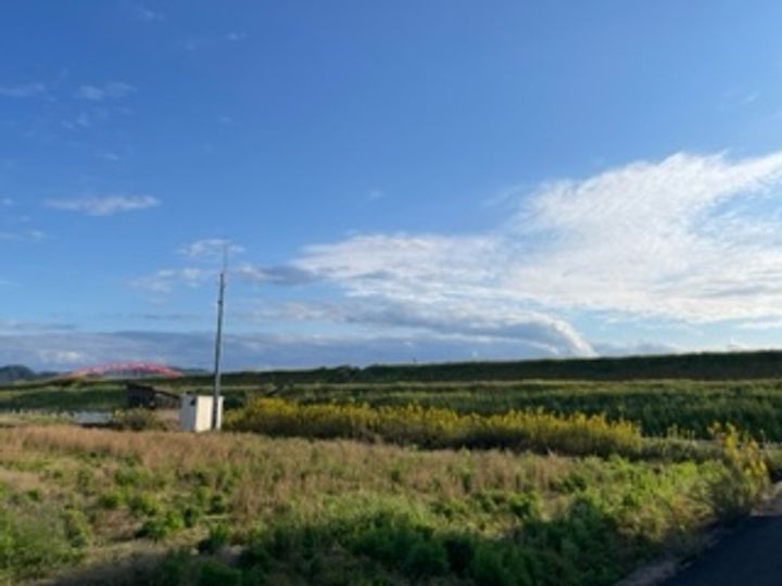 レオネクストカサデエスペランサの周辺