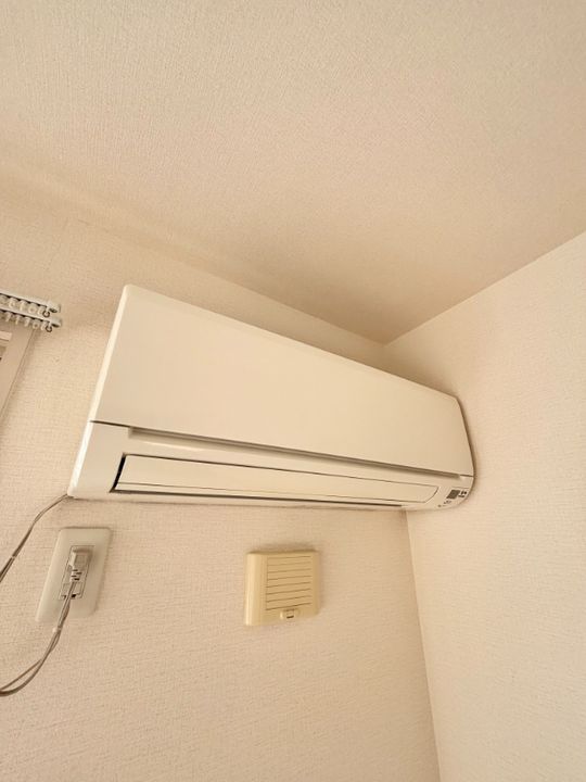 チェリー ブランカのその他画像