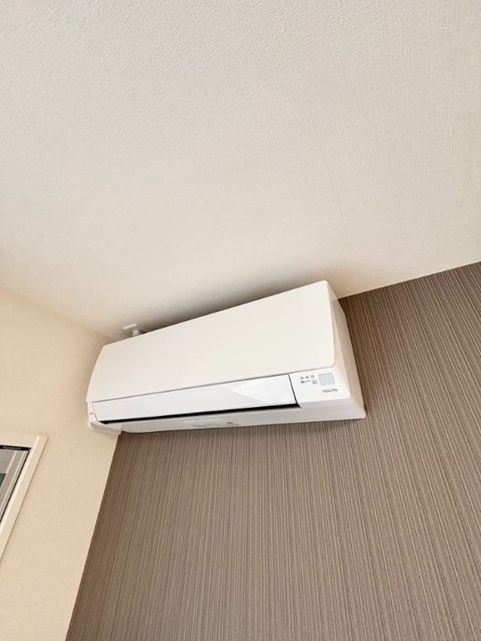 プレジャーのその他画像
