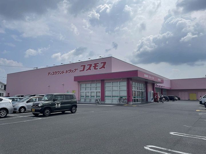 レオネクスト楓101の周辺