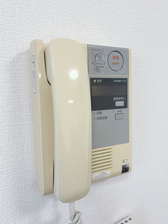 サンフォーレ・1989のその他画像