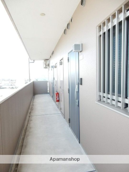 サニーヒルズ大福のその他画像