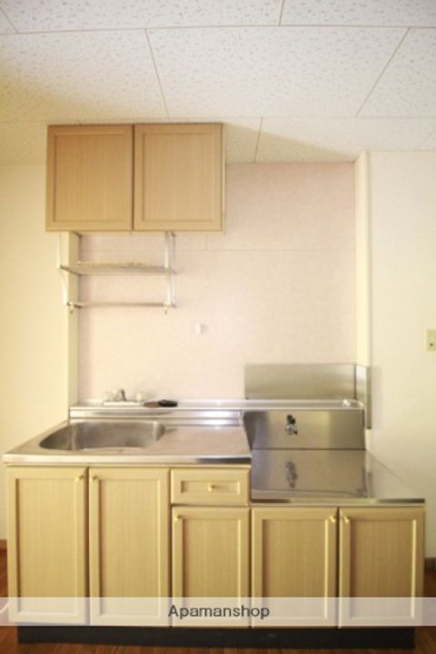 アルトハイデⅡC棟202のキッチン