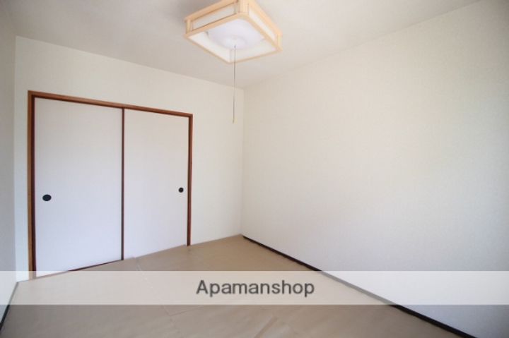 グリーンハイツA101の内装