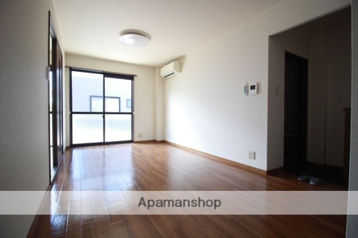 グリーンハイツA101の内装