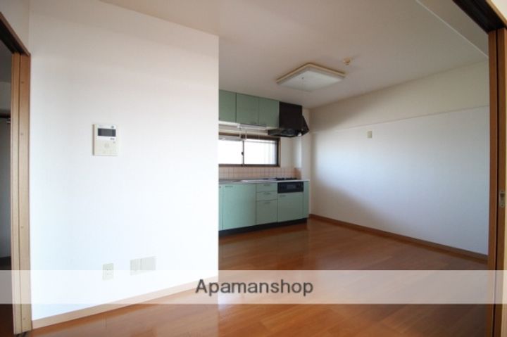 岡山県岡山市北区辰巳の賃貸マンションの内装