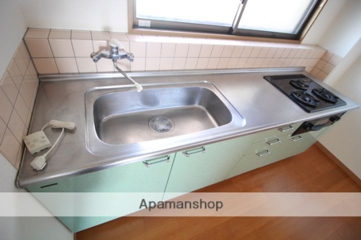 岡山県岡山市北区辰巳の賃貸マンションの内装