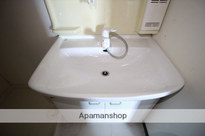 岡山県岡山市北区辰巳の賃貸マンションの内装