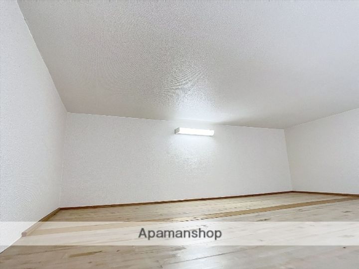 岡山県岡山市北区奥田西町の賃貸アパートの内装