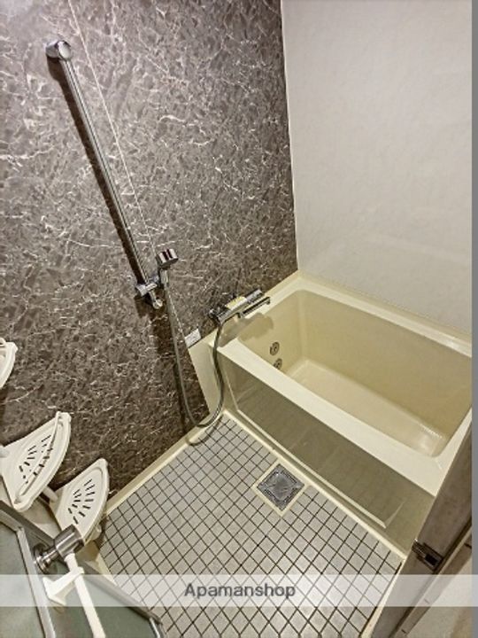 岡山県岡山市南区豊成3丁目の賃貸マンションの風呂