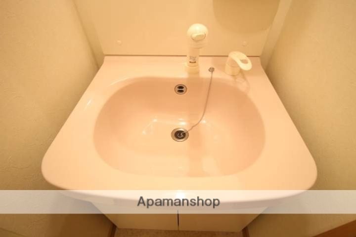 岡山県岡山市北区野田5丁目の賃貸マンションの内装