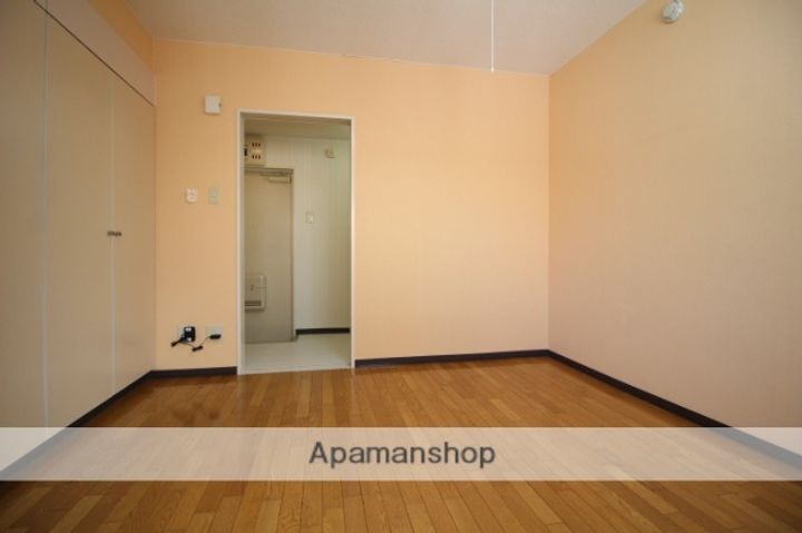 岡山県岡山市北区奉還町3丁目の賃貸マンションの内装