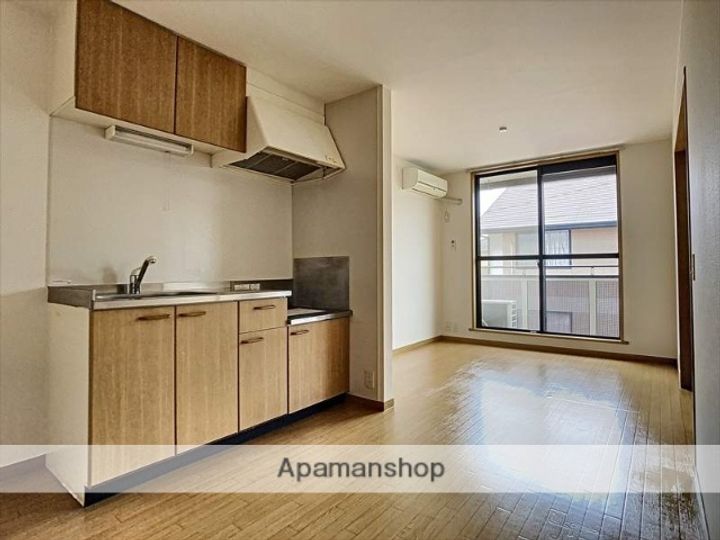 岡山県岡山市北区白石東新町の賃貸アパートの内装