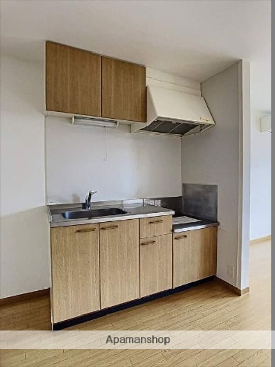 岡山県岡山市北区白石東新町の賃貸アパートのキッチン