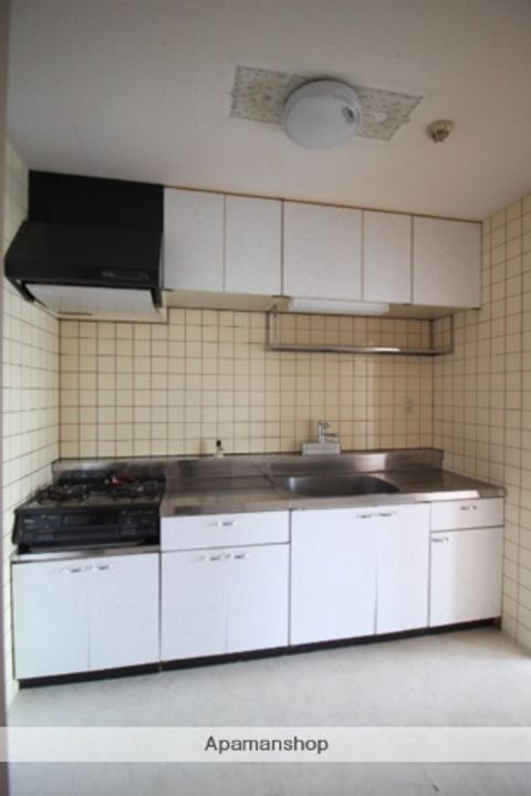 岡山県岡山市北区伊島町2丁目の賃貸マンションのキッチン