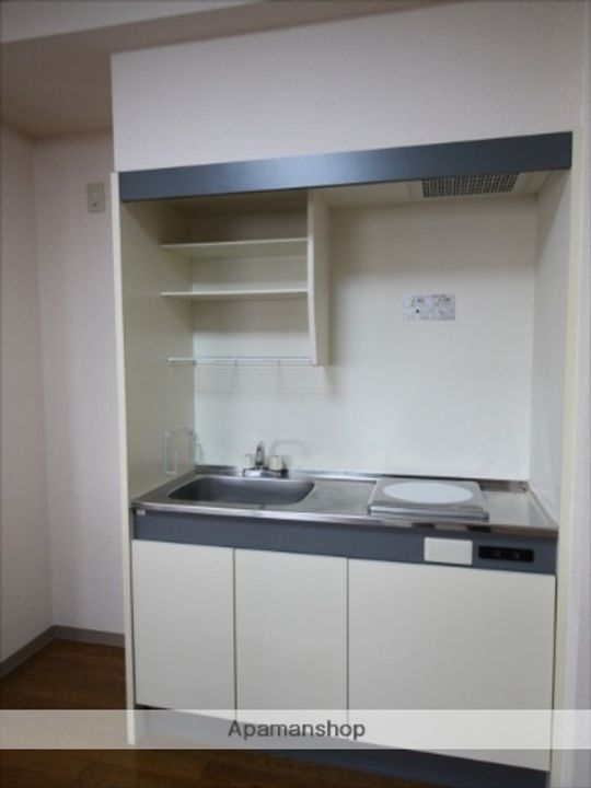 岡山県岡山市北区京橋町の賃貸マンションのキッチン