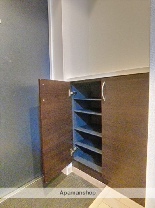 岡山県岡山市北区大供2丁目の賃貸マンションの玄関