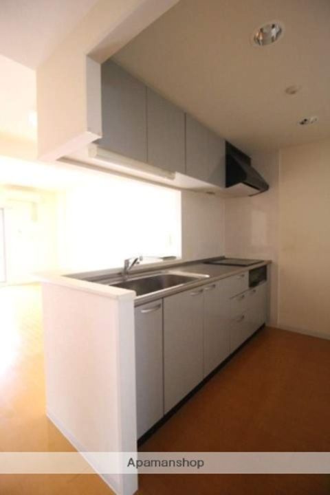 岡山県岡山市北区野田1丁目の賃貸マンションのキッチン