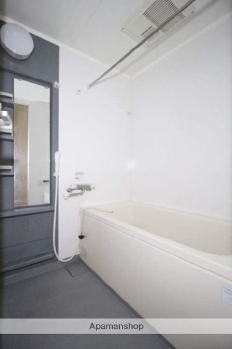 岡山県岡山市北区野田1丁目の賃貸マンションの風呂