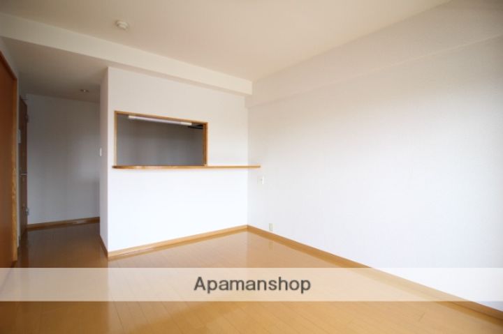 岡山県岡山市北区奥田本町の賃貸マンションの内装