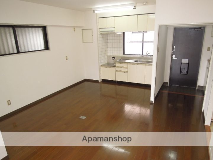 岡山県岡山市北区岡町の賃貸マンションの内装