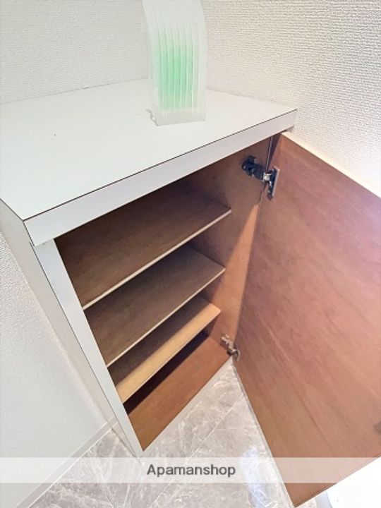 岡山県岡山市中区門田屋敷1丁目の賃貸マンションの内装