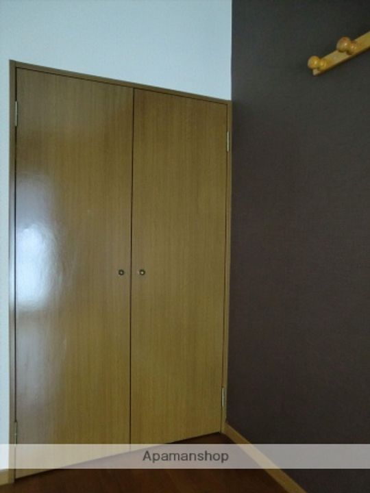 岡山県岡山市北区大和町1丁目の賃貸マンションの内装