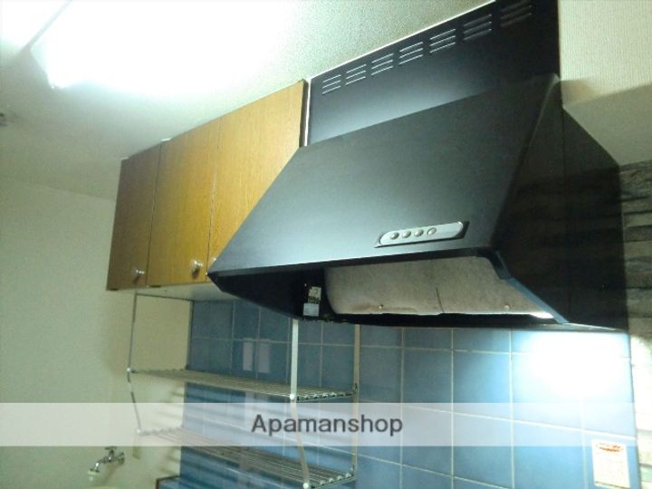 岡山県岡山市北区大和町1丁目の賃貸マンションの内装