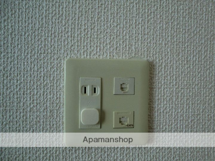 岡山県岡山市北区大和町1丁目の賃貸マンションの内装