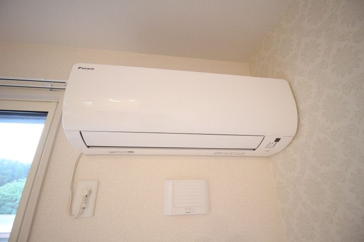 シュロスモリオのその他画像