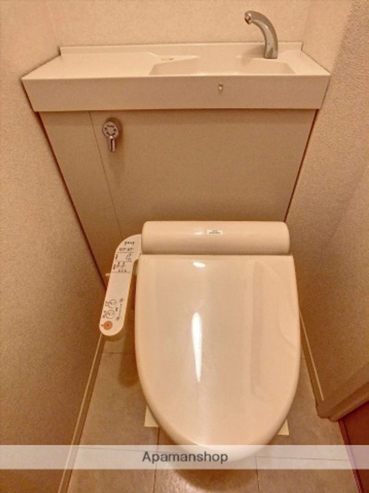アネシスAのその他画像