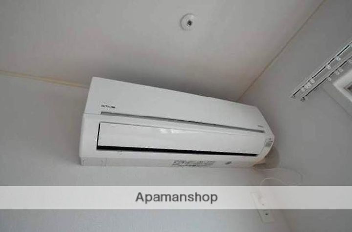 サルースのその他画像