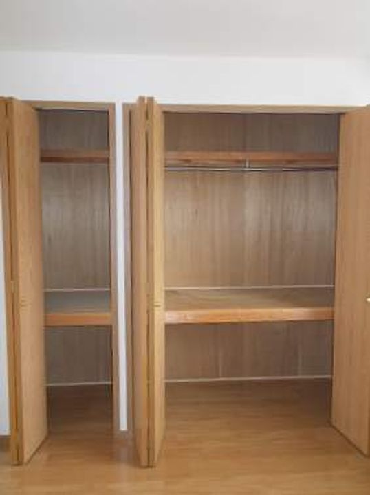 楓のその他画像