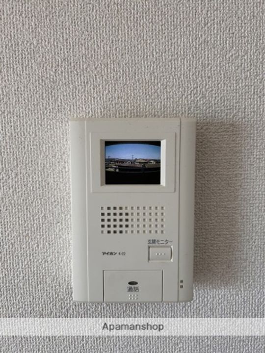 ビラペディメントのその他画像