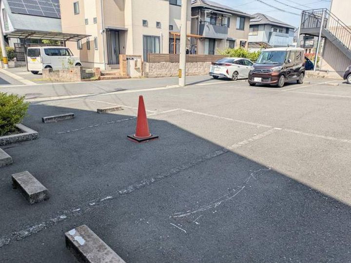 アモロッソ トリプルSのその他画像