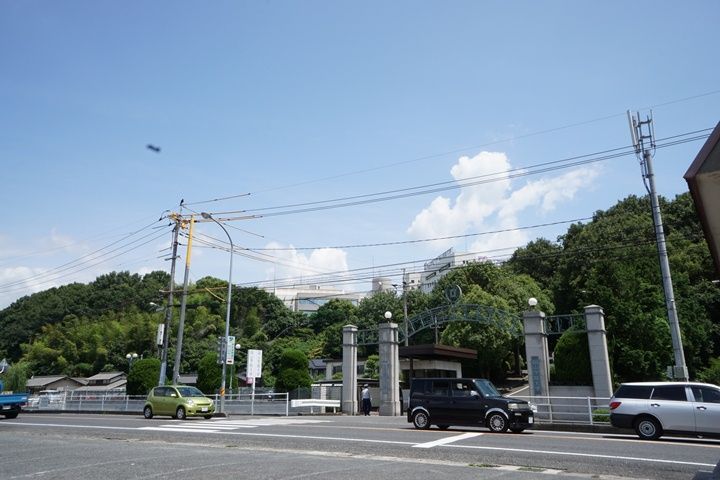 アモロッソ トリプルSの周辺
