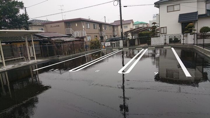 ヴァン ベールのその他画像