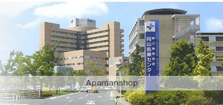 ネオモンシェリー津島B305の周辺