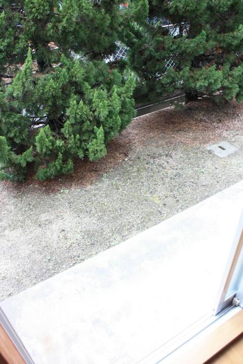 エルディム笹沖のその他画像