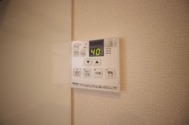 パームツリーAのその他画像