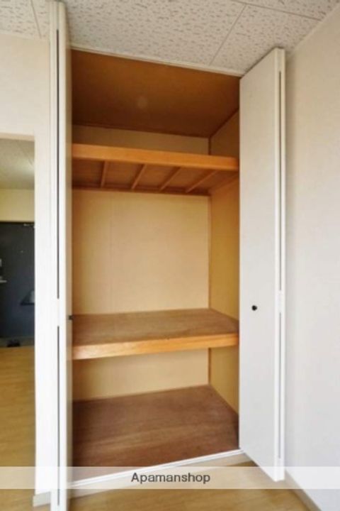 ブルーベルのその他画像