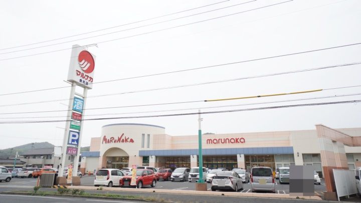 ひまわりの周辺